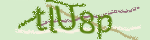 Enter the string shown in the image or use the following audio alternative